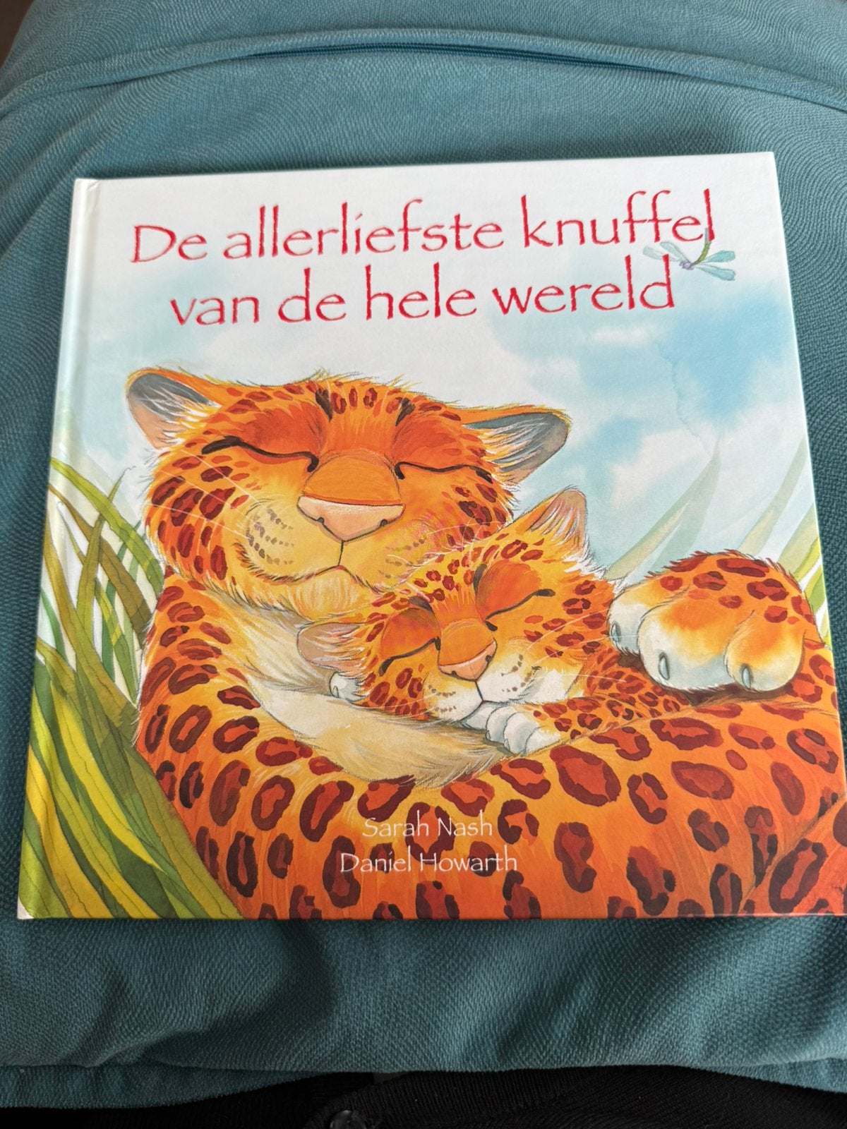 De allerliefste knuffel van de hele wereld. Sarah Nash, Livres, Contes & Fables, Enlèvement, Neuf