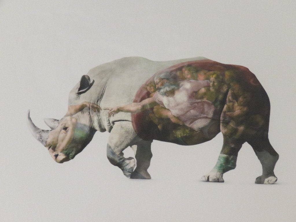 Petite toile à frire Giclée Rhino Michelangelo N 4/40, Antiquités & Art, Numéroté, Enlèvement ou Envoi, Giclée