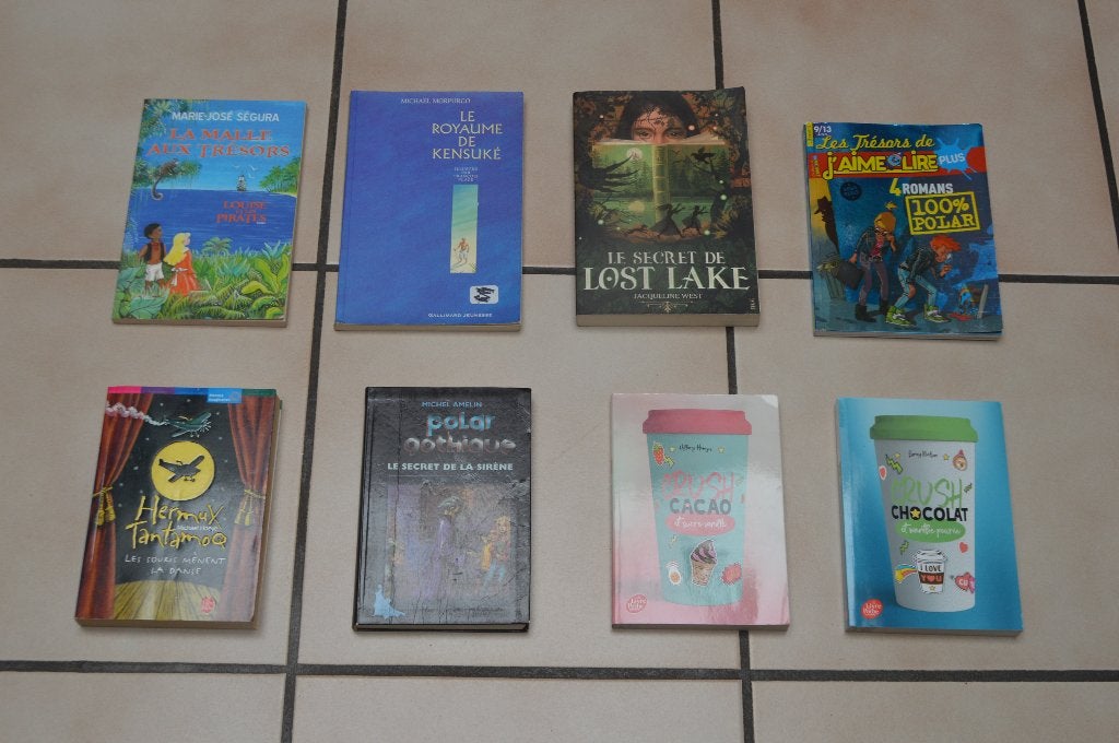 Livres pour préados à partir de 9ans en très bon état à 3€!, Livres, Enlèvement ou Envoi, Comme neuf, Divers auteurs, Fiction général