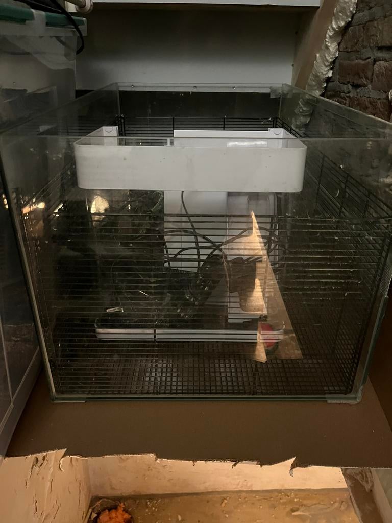 Gerbil kooi, Enlèvement, Comme neuf, Cage