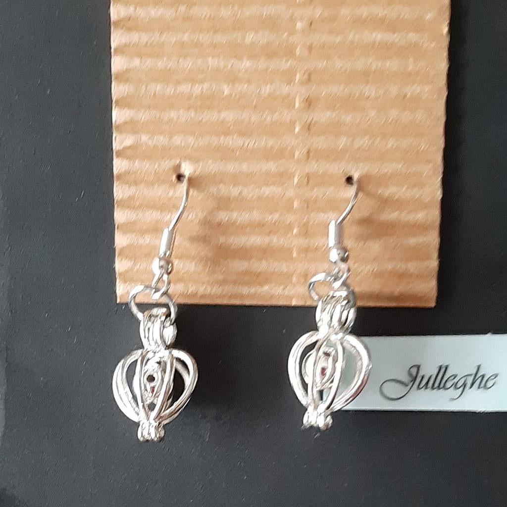 Te koop: Nieuw!! Mooie zilverkleurige oorbellen., Bijoux, Sacs & Beauté, Boucles d'oreilles, Neuf, Enlèvement, Autres matériaux