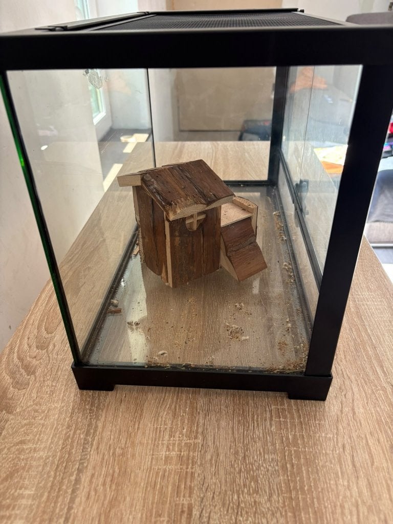 Terrarium, Ophalen, Zo goed als nieuw, Terrarium of Paludarium
