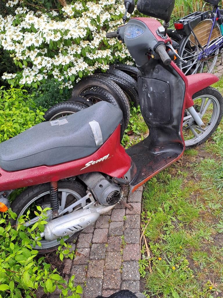 Honda scoopy met werk moet opgestart worden, Fietsen en Brommers, Ophalen