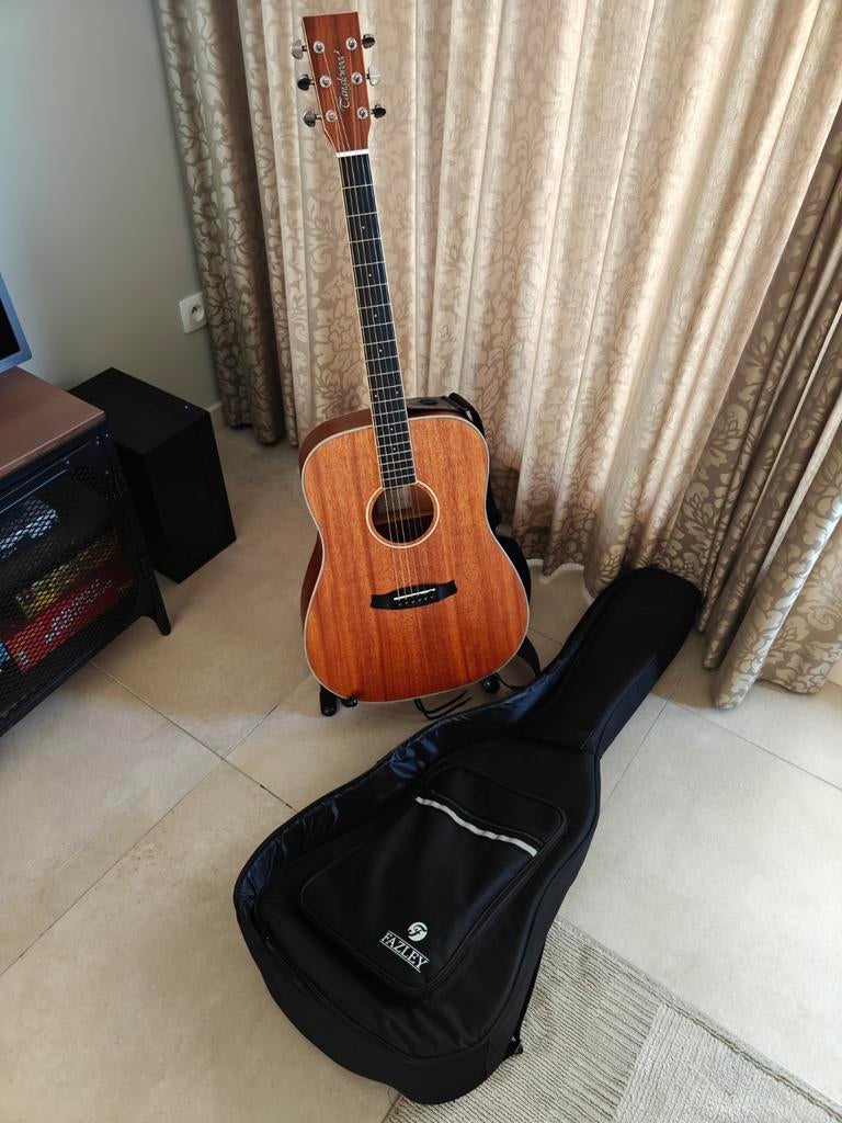 Gitaar Tanglewood union series set, Enlèvement