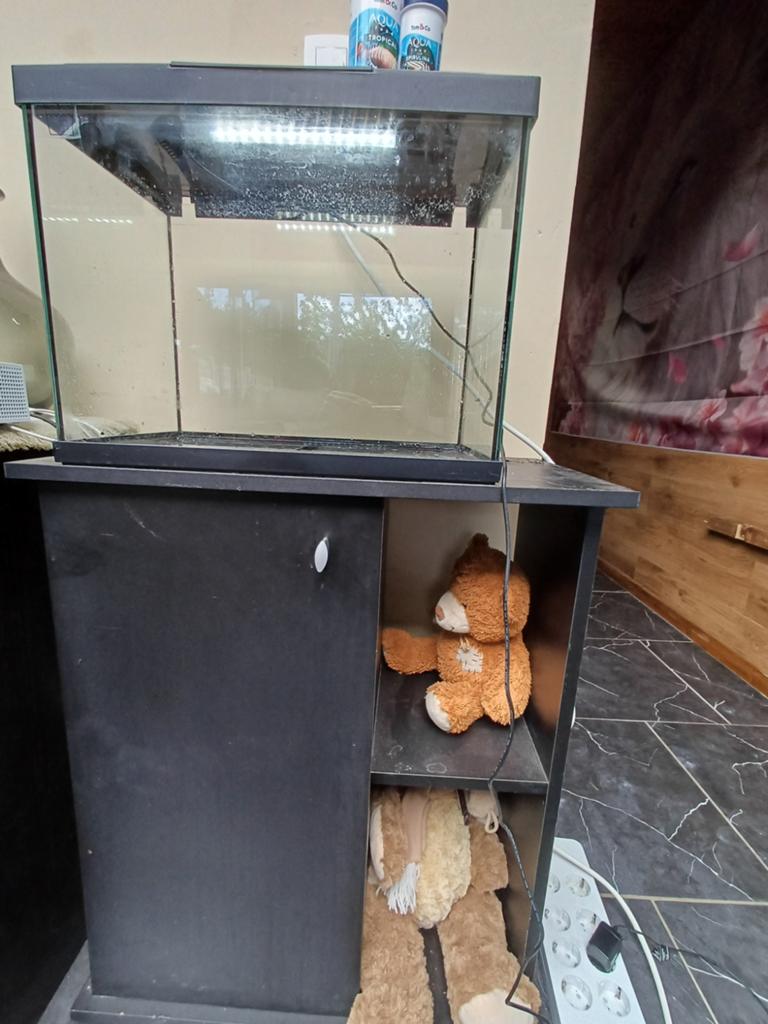 Aquarium met licht en meubel te koop, Enlèvement