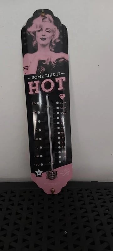 huis thermometer, Ophalen, Zo goed als nieuw, Binnenthermometer