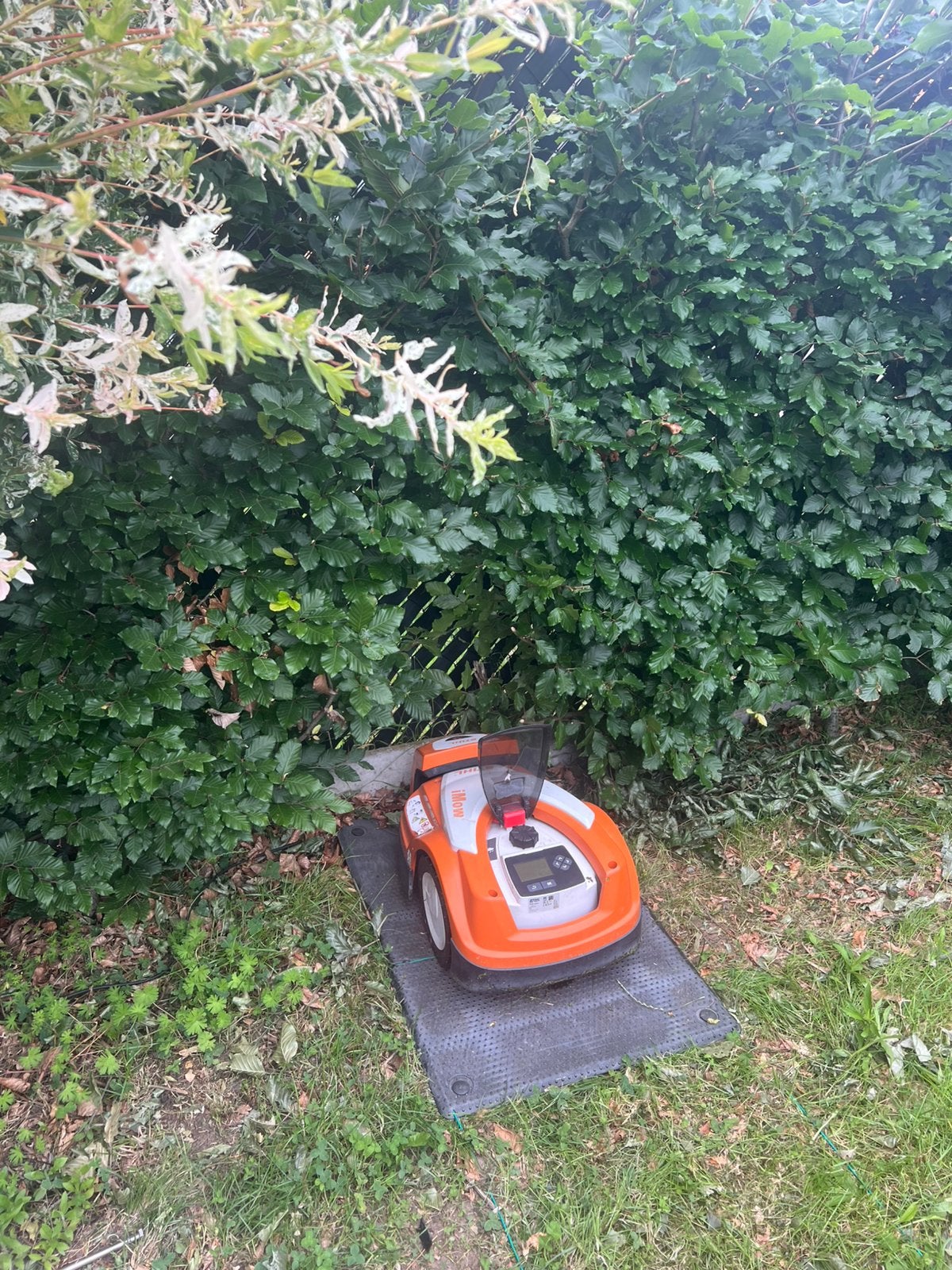 STIHL IMOH ROBOTMAAIER, Enlèvement, Utilisé, Avec capteur de pluie