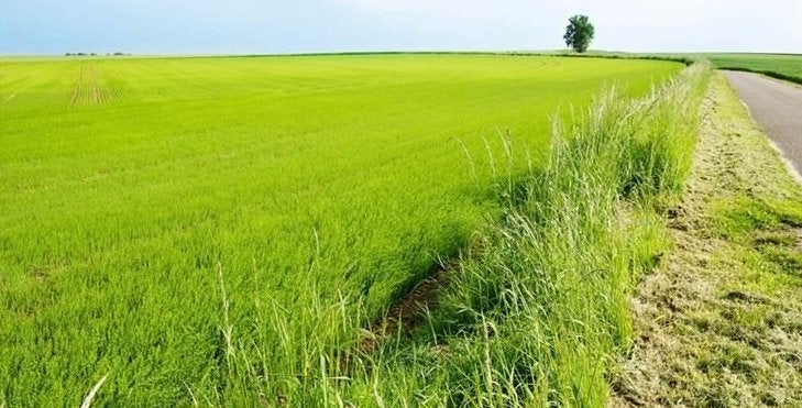 Cherche terrains agricoles à vendre, Enlèvement, Sol à cultiver