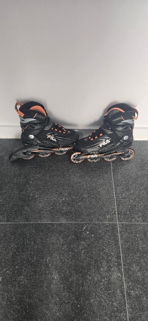 inline skeelers Fila, Nieuw, Inline skates 4 wielen, Dames, Ophalen