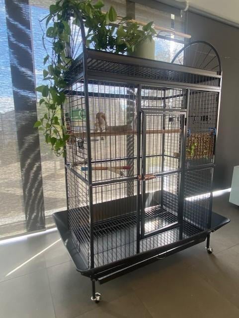 Grote papegaaienkooi op wieltjes – zo goed als nieuw – €170, Dieren en Toebehoren, Vogels | Hokken en Kooien, Ophalen, Zo goed als nieuw
