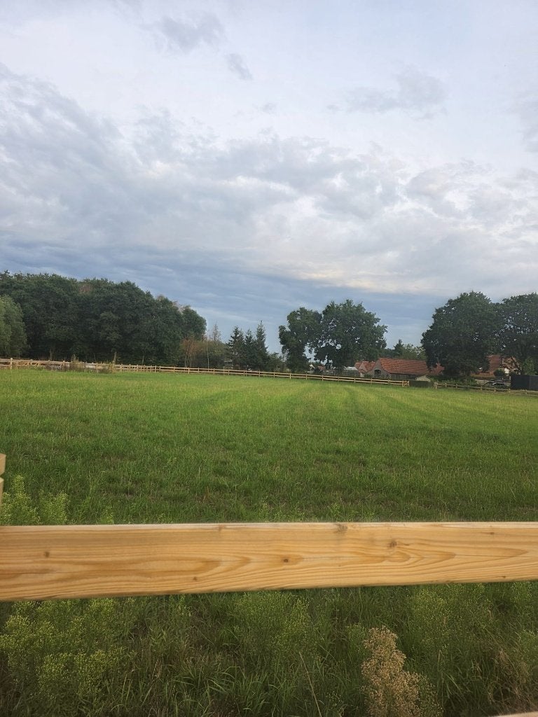 Weide te huur - Merksplas