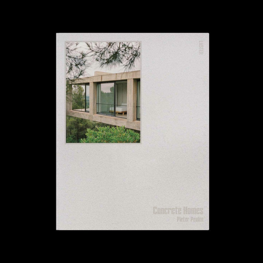 Pieter Peulen - Concrete homes (nieuw), Livres, Enlèvement ou Envoi, Pieter Peulen