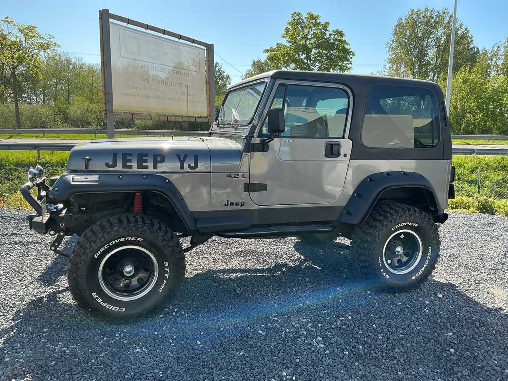1980 Jeep Wrangler 4.2L, Auto's, Jeep, Gebruikt, Bedrijf, Handgeschakeld, Wrangler