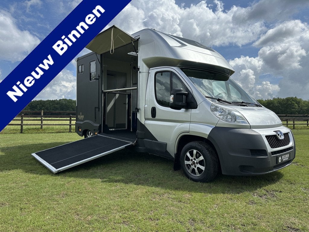 Peugeot Boxer 2-paards paardenvrachtwagen MARGE 3.0l 180PK B, Gebruikt, Info@hulshof-trading.nl, Overige typen, Hulshof-Trading