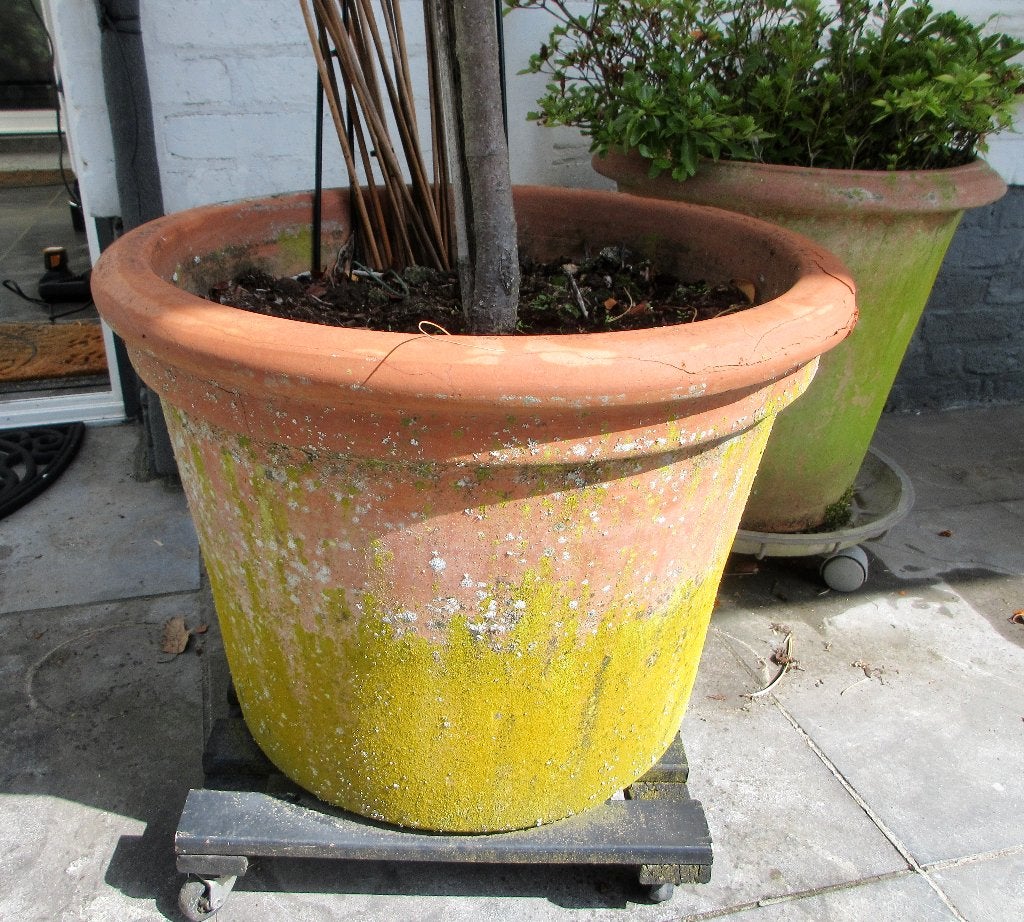Pot en terre cuite toscane, Balcon, 40 cm ou plus, Rond, Enlèvement