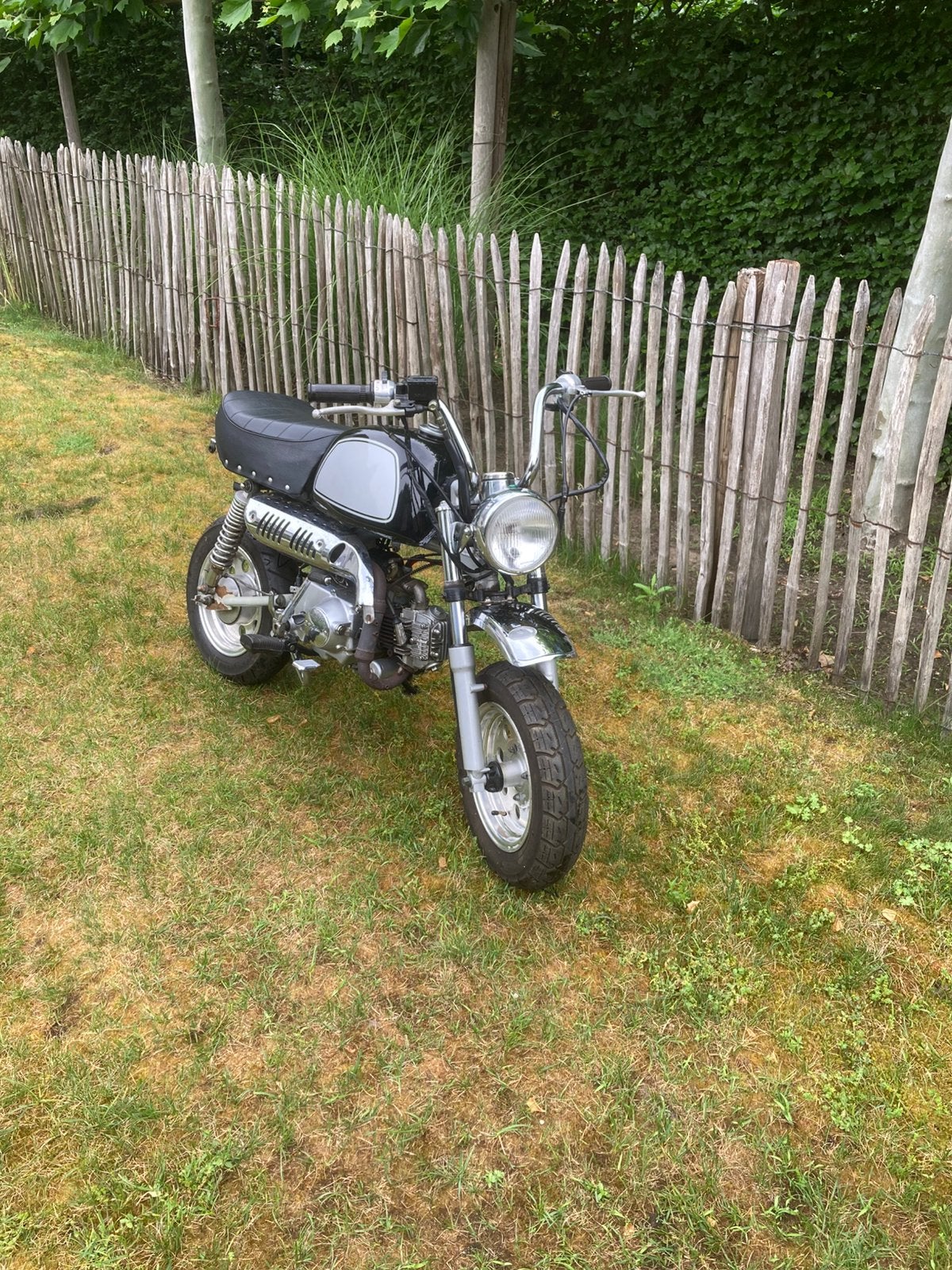 Skyteam gorilla 50cc, Fietsen en Brommers, Brommers | Oldtimers, Overige merken, Klasse B (45 km/u), Ophalen
