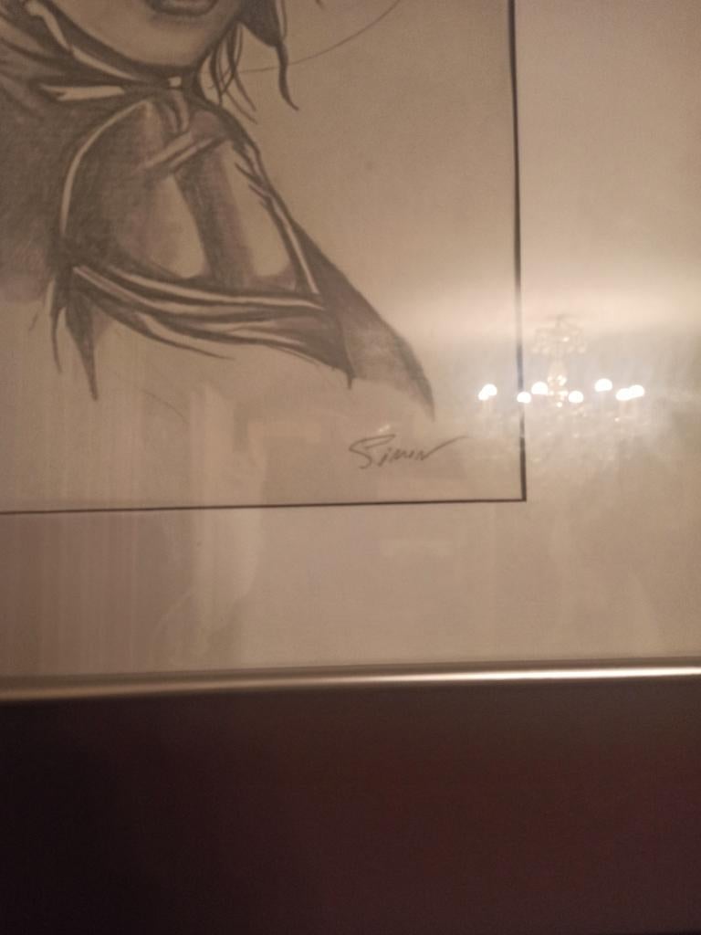 Henry Simon Catwoman tekening, Antiquités & Art, Art | Peinture | Moderne, Enlèvement