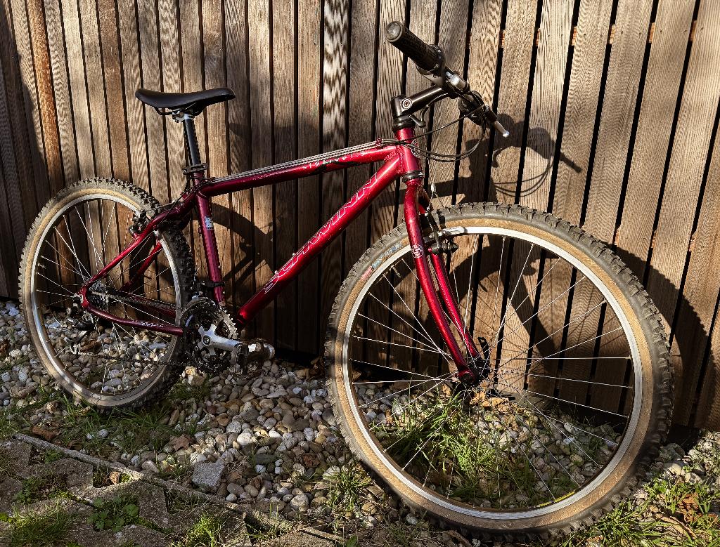 VTT Schwinn, Fietsen en Brommers, Ophalen