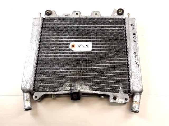 X9 500 Evolution 2005 - 2013 Piaggio Radiator D1-35081, Motoren