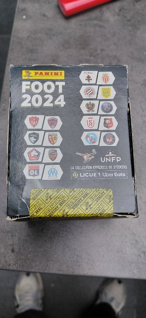 PANINI, Enlèvement, Neuf
