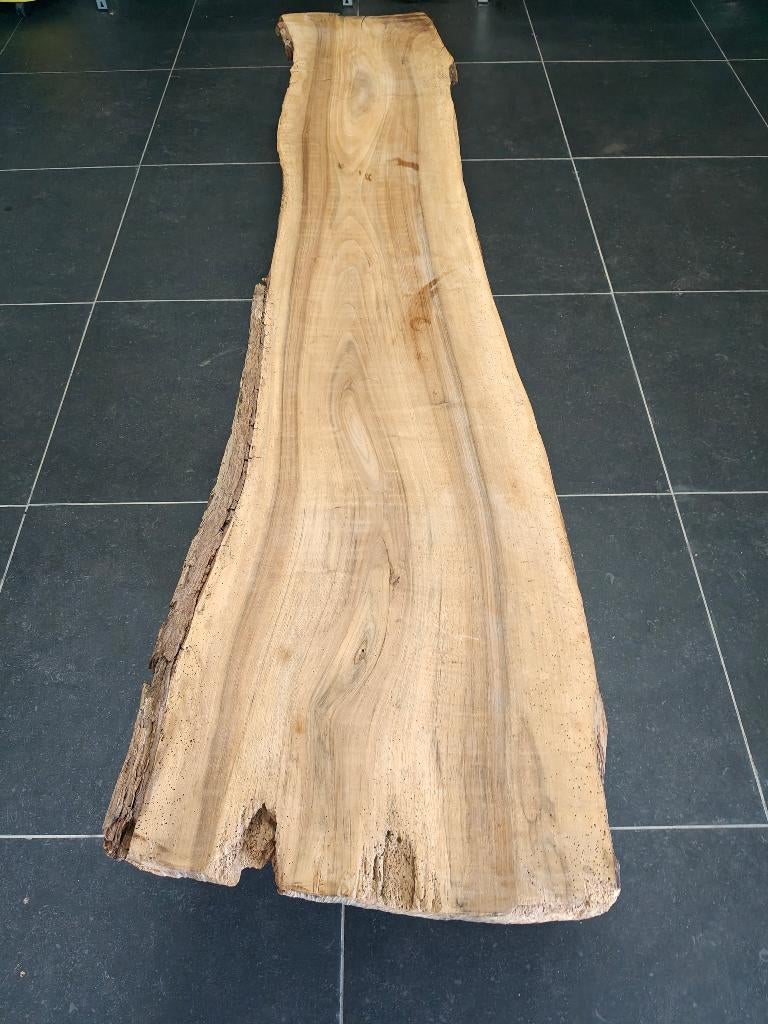 Boomstam salontafel, Huis en Inrichting, Tafels | Salontafels, Ophalen, Minder dan 50 cm, Gebruikt, 150 tot 200 cm