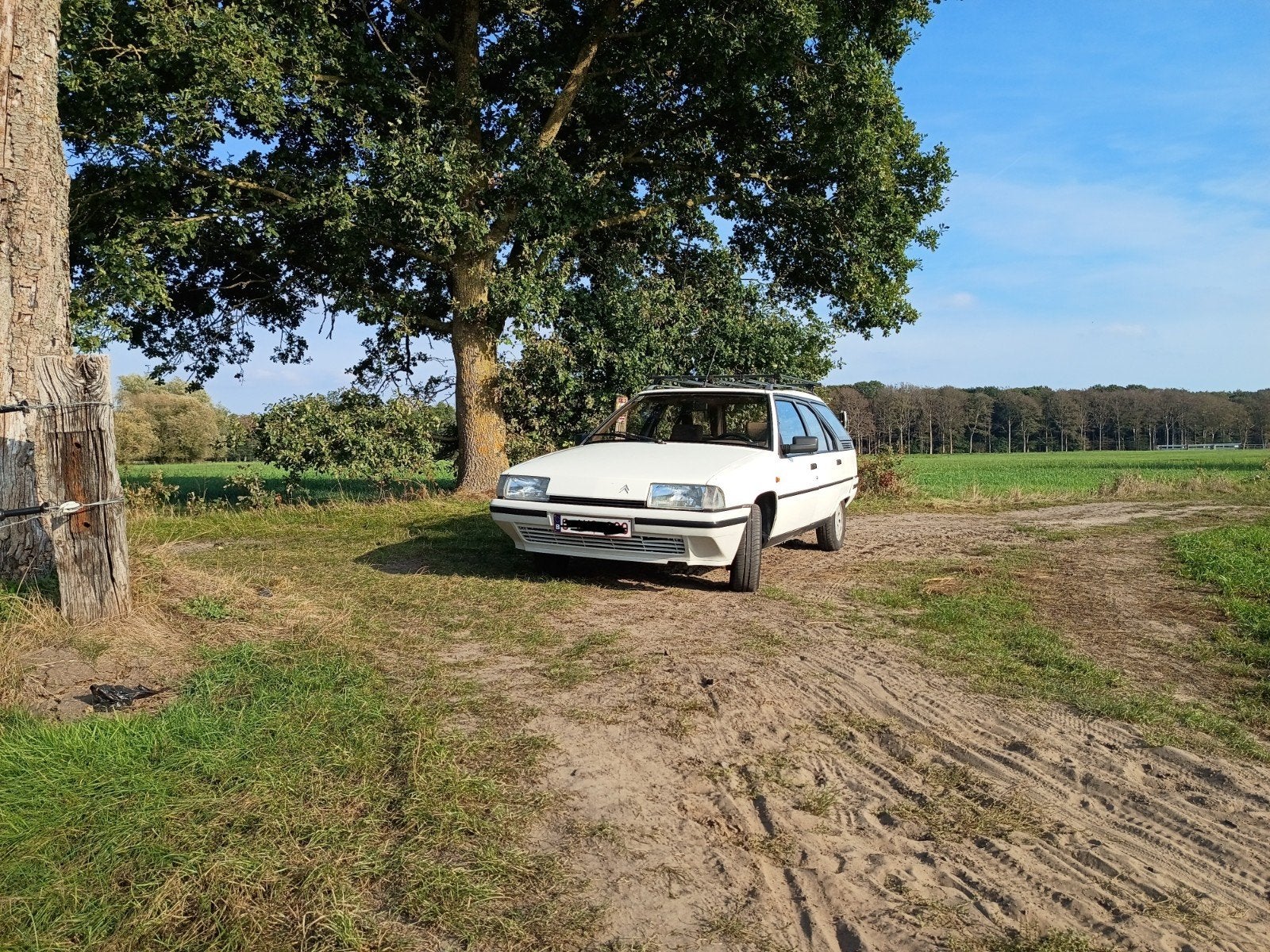 Citroën Bx Break, foto 2