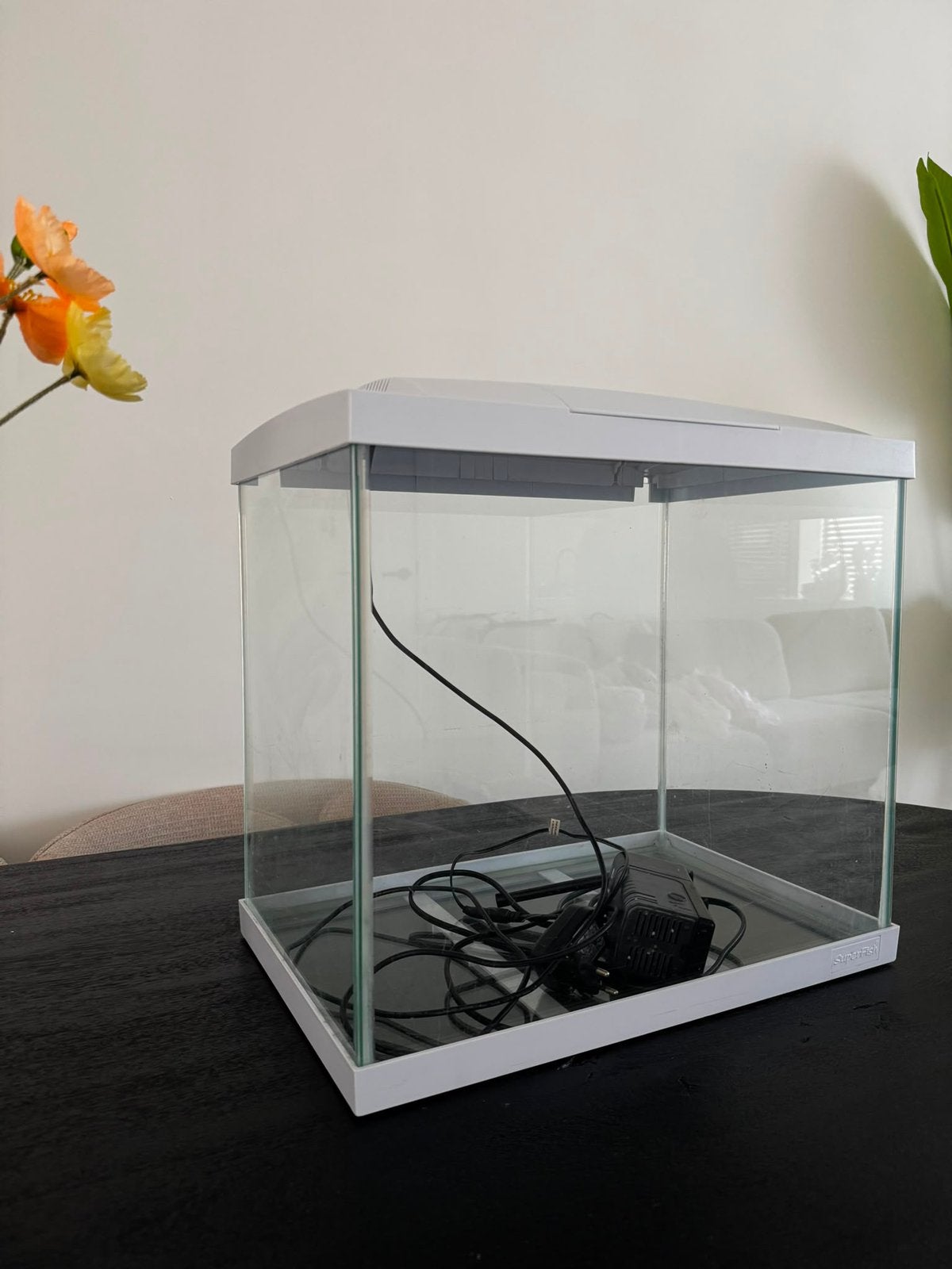 Aquarium, Enlèvement, Comme neuf, Filter