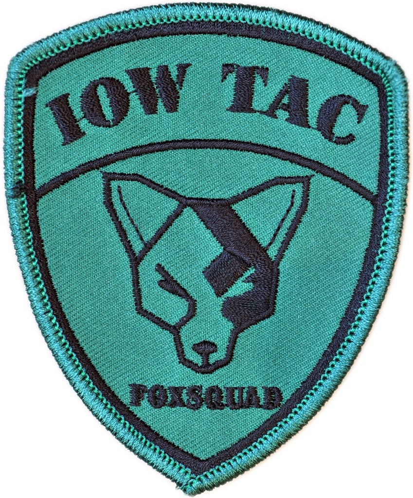 10 Wing Tac - Fox Squad - Badge (1), Envoi, Armée de l'air, Emblème ou Badge