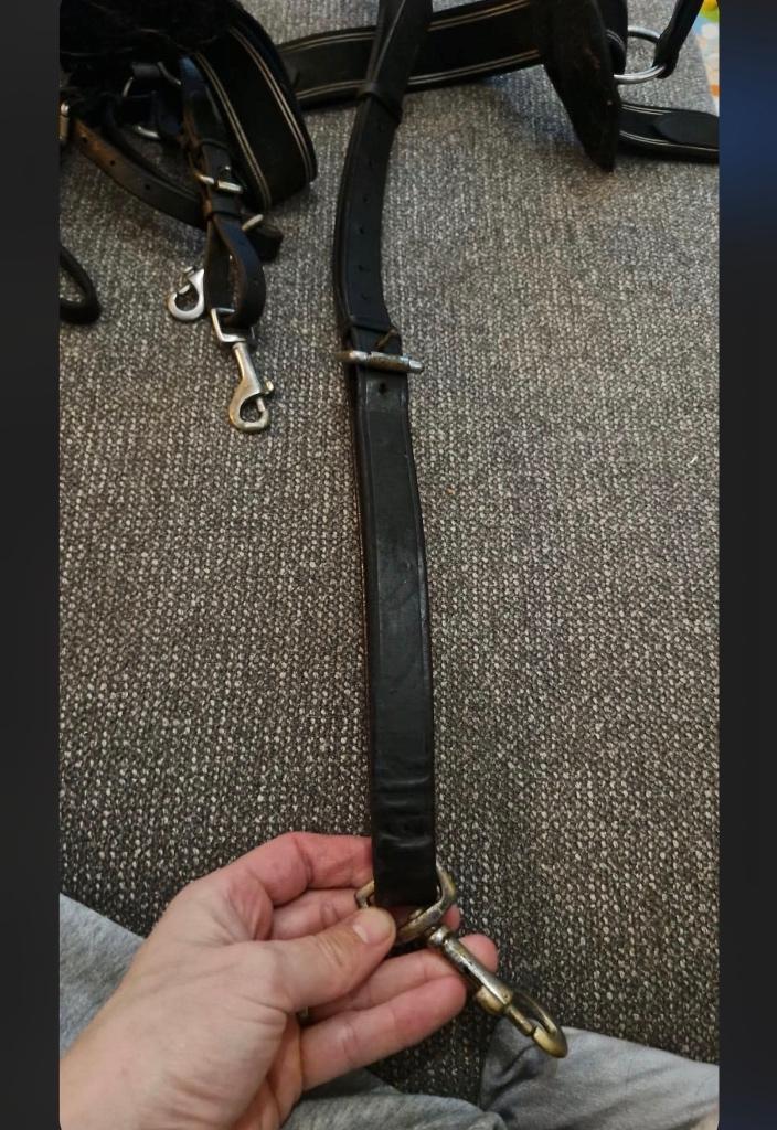 Collier de chasse taille full noir, Enlèvement ou Envoi, Utilisé, Obstacle