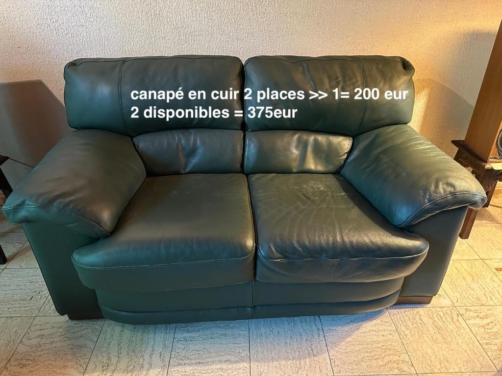 Nouveau prix :Canapés en cuir 2pl. vert (2 dispo), Maison & Meubles, Enlèvement, Utilisé, Deux personnes, Cuir