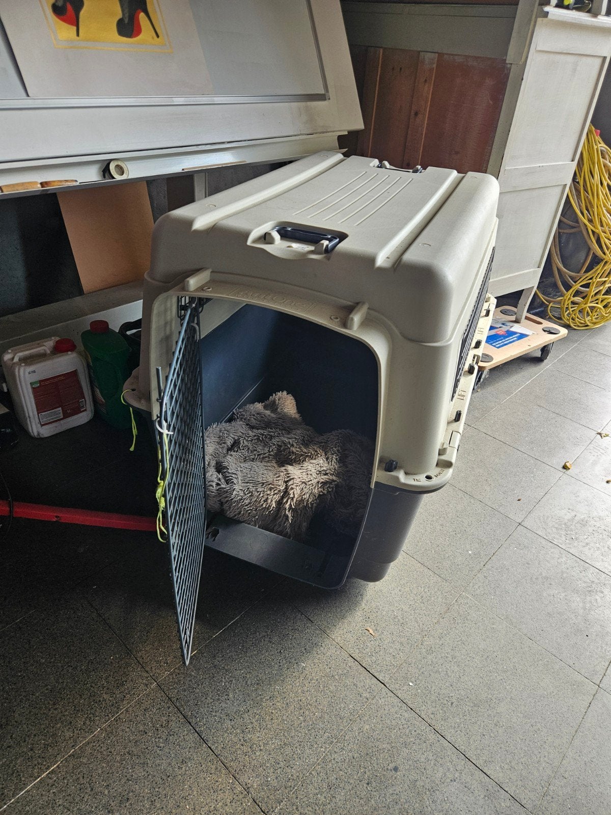 Transportbox Anione, Enlèvement, Utilisé