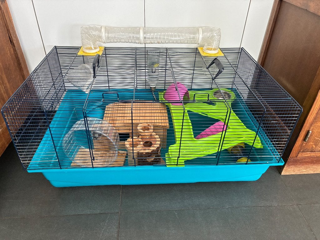 Hamsterkooi, Animaux & Accessoires, Moins de 60 cm, 75 à 110 cm, Cage, Enlèvement
