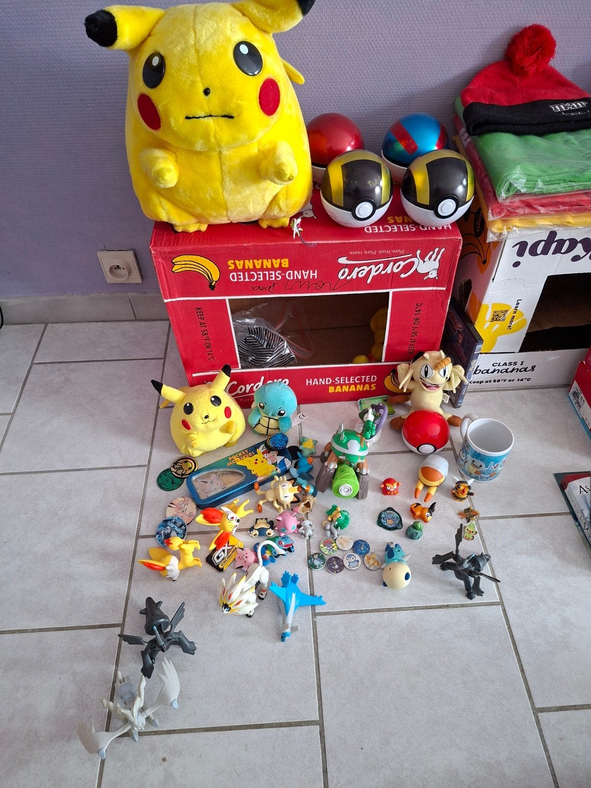 lot pokemon, Enlèvement