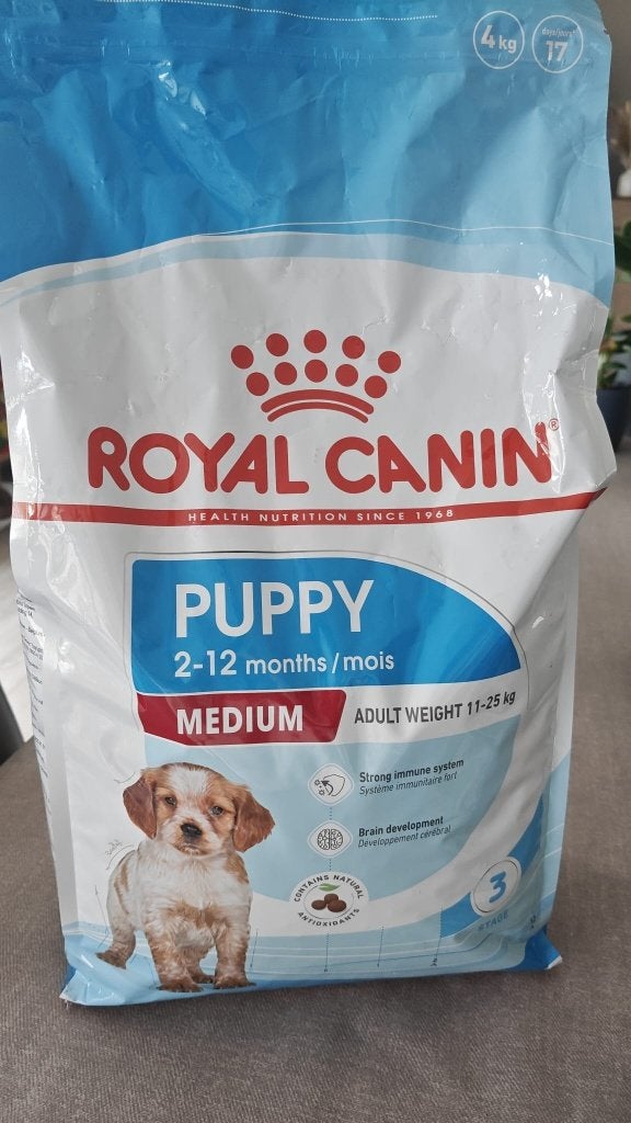 dierenvoeding, Ophalen, Hond