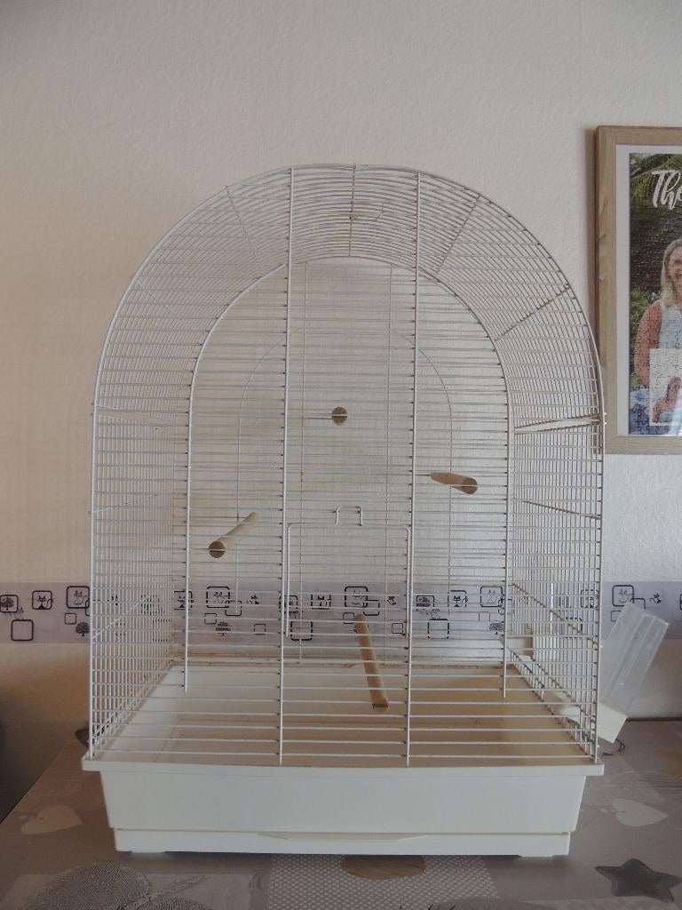 Cage pour oiseaux, canaris..., Enlèvement, Bois