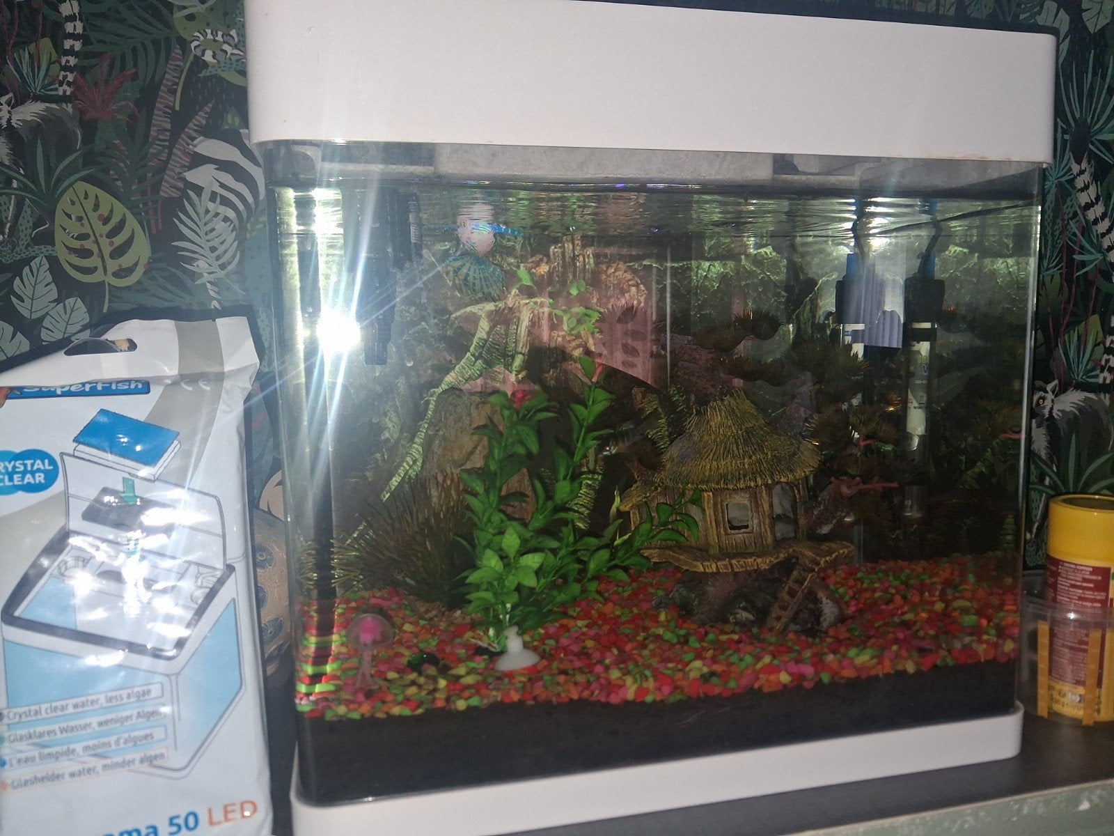 aquarium met visje mooie grote pleco en slangetjes, Ophalen, Filter