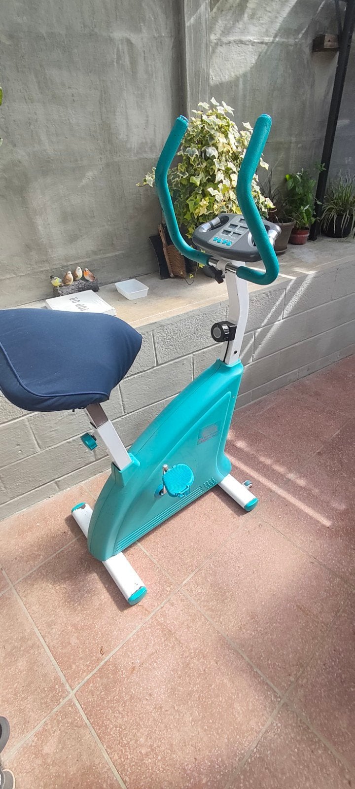 Vélo d'appartement, Enlèvement, Vélo d'appartement