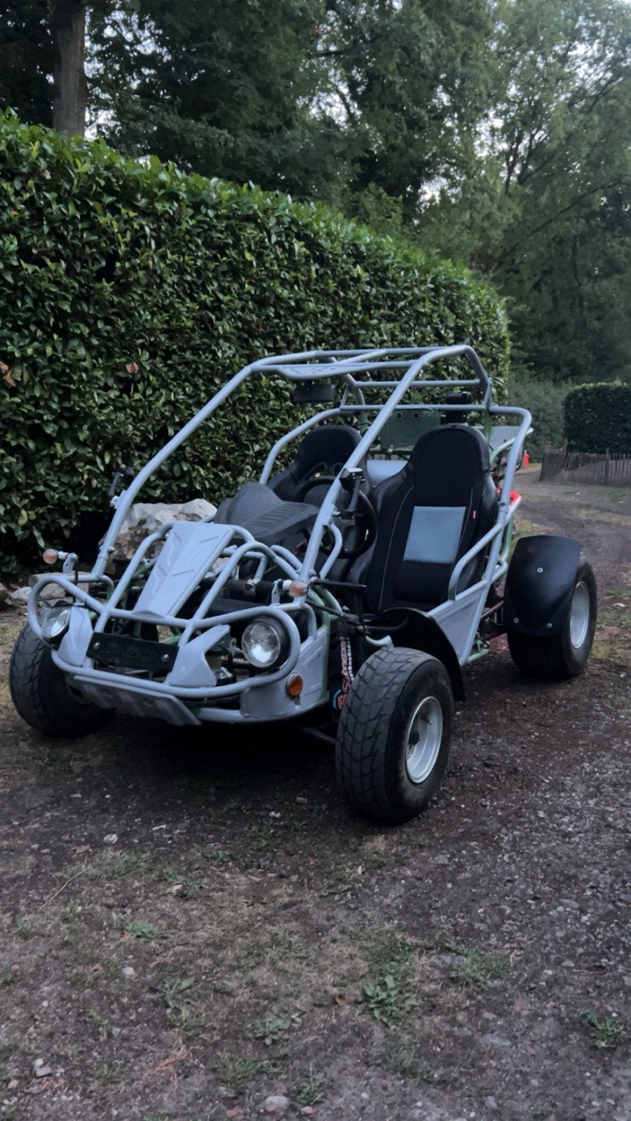 BUGGY PGO 250CC, Motoren