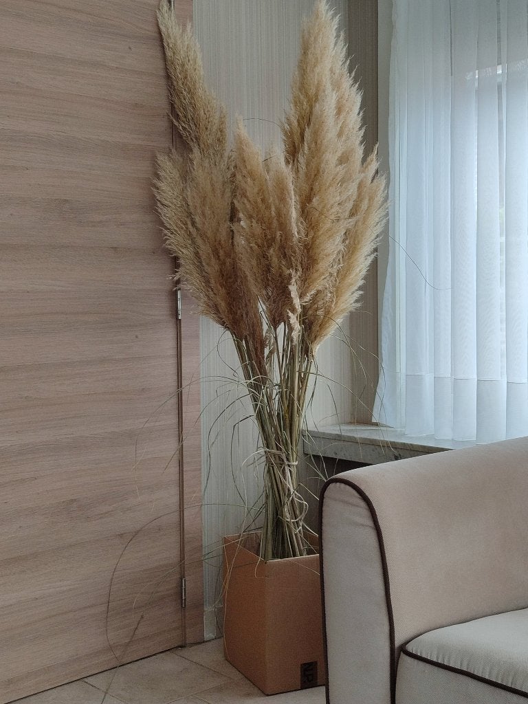 Boeket pluimen, Binnen, Natuurlijk materiaal, Beige, Nieuw