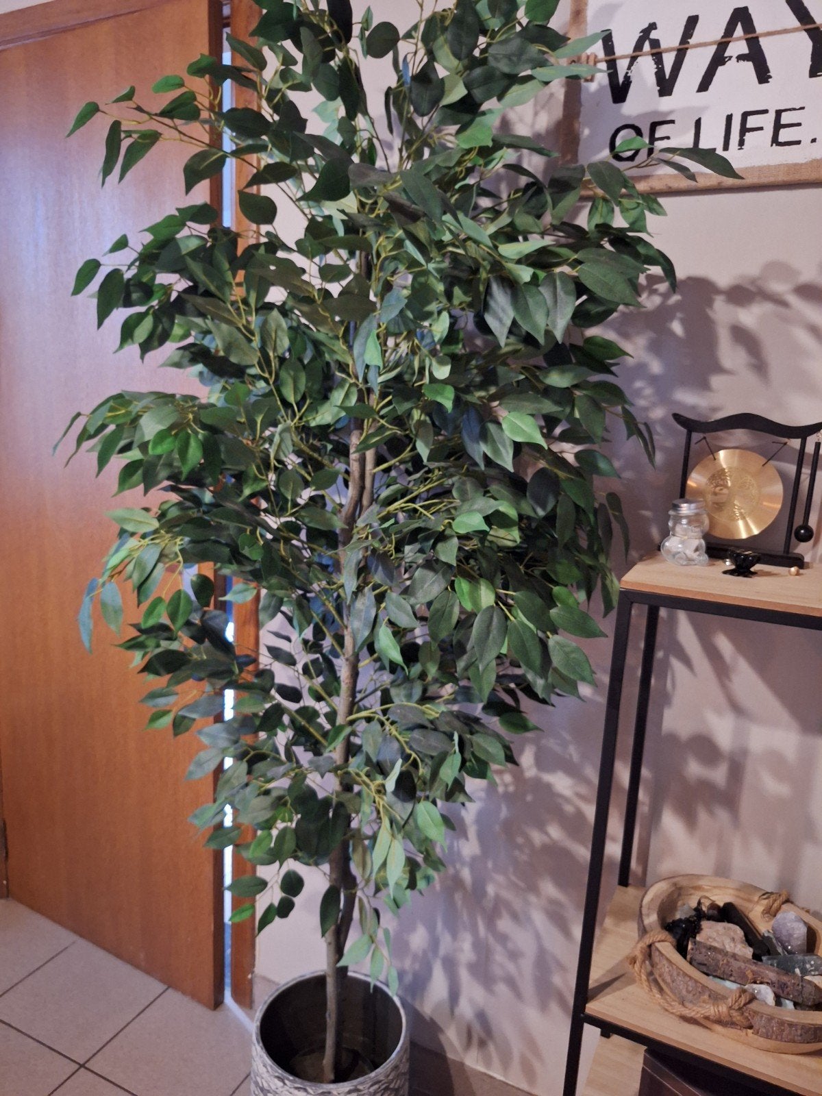 Prachtige grote kunstplant Ficus Benjamina – 180 cm hoog, Groen, Kunstplant, Zo goed als nieuw, Ophalen