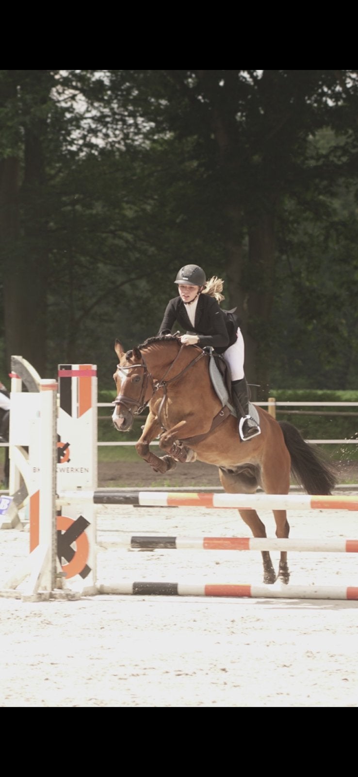 Bijrijden/ halve stal gezocht voor brave ruin️, Dieren en Toebehoren, Pony's, Ruin