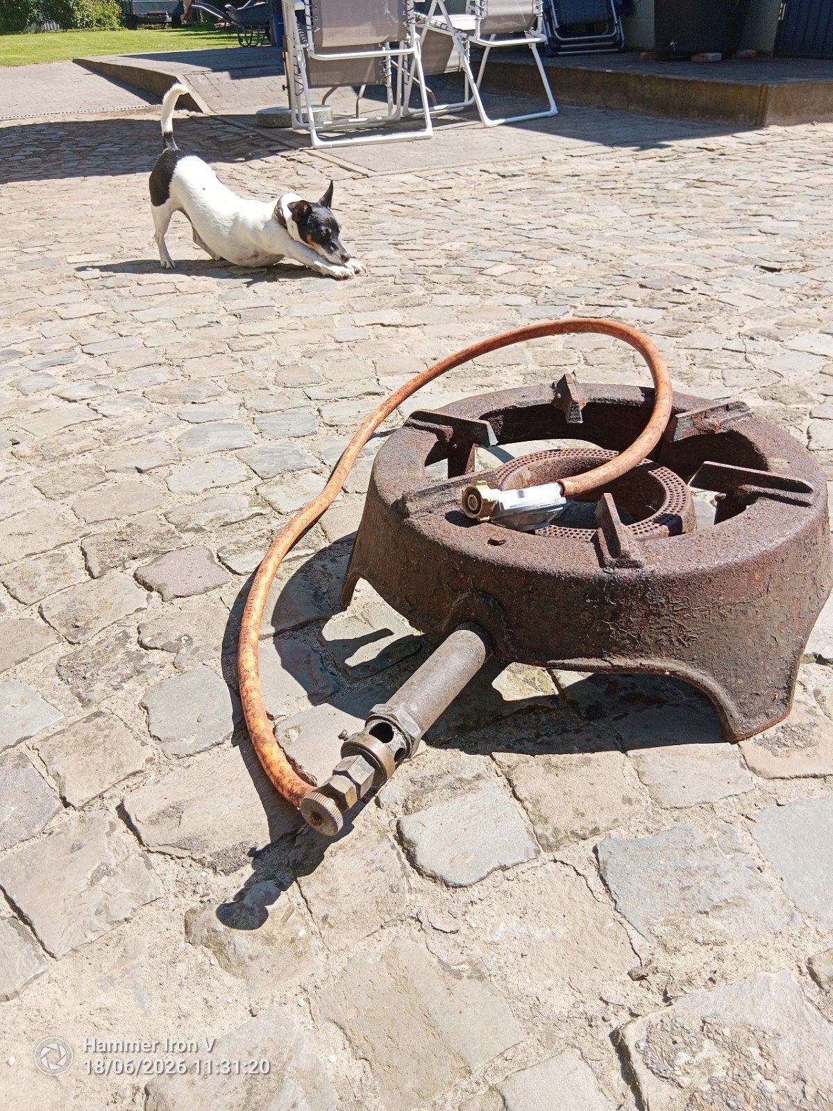 Grote gasbrander, Ophalen