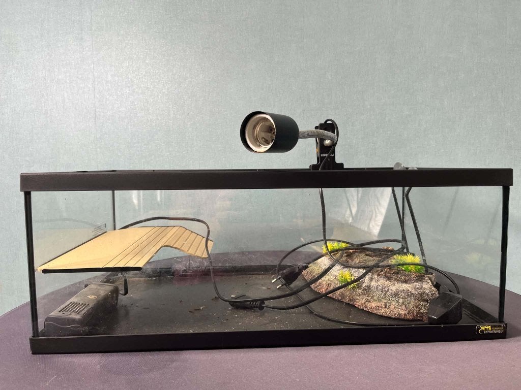 Terratlantis schildpaddenbak / aquaterrarium, Enlèvement, Utilisé