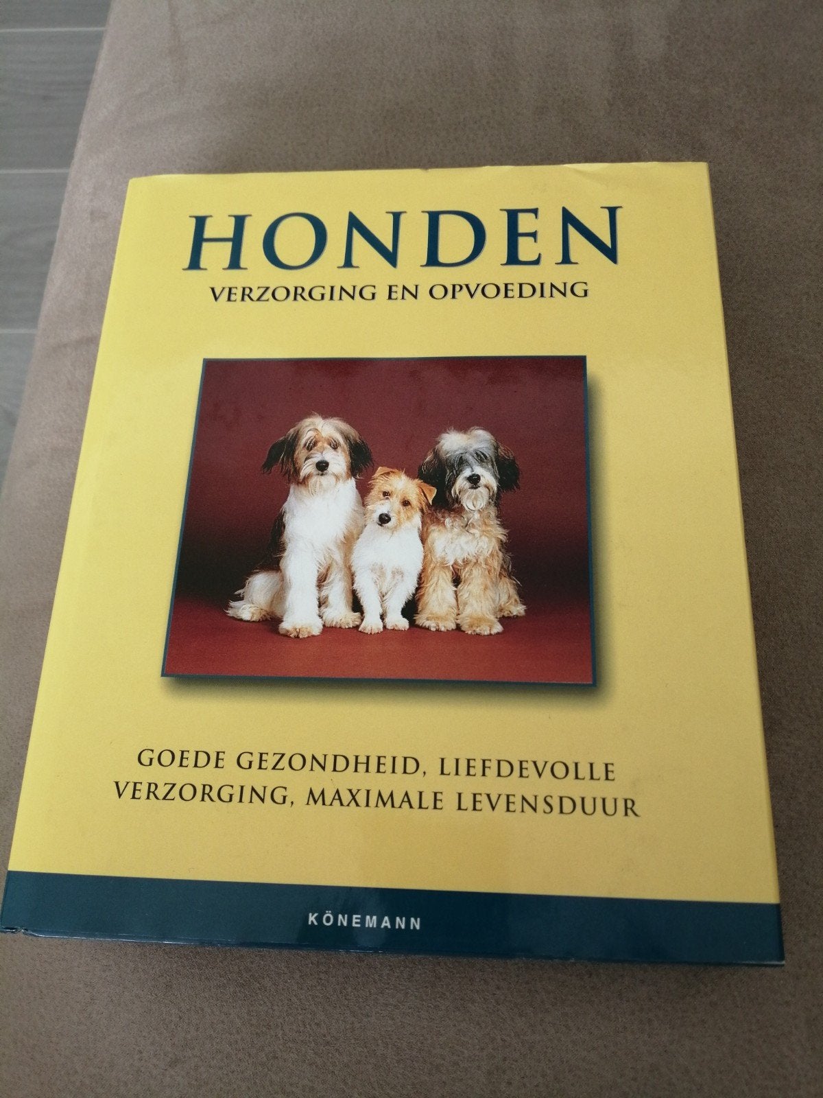 Honden: verzorging en opvoeding, Livres, Animaux & Animaux domestiques, Enlèvement ou Envoi, Comme neuf, Chiens