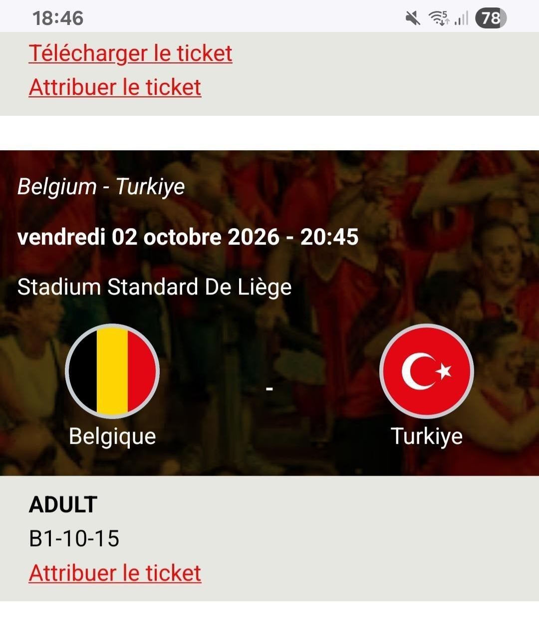 Billet Belgique Turquie 02/10/26, Une personne