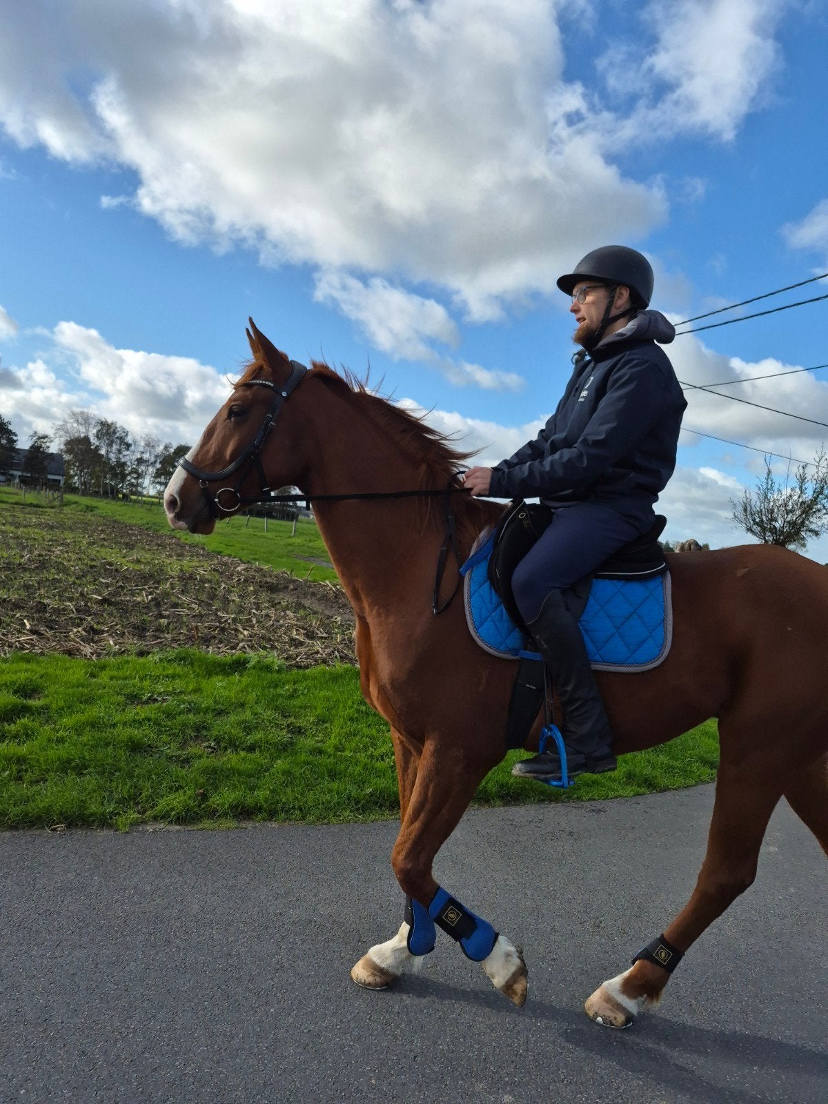 eerlijk recreatiepaard, Dieren en Toebehoren, Ruin, 3 tot 6 jaar, 160 tot 165 cm, Recreatiepaard
