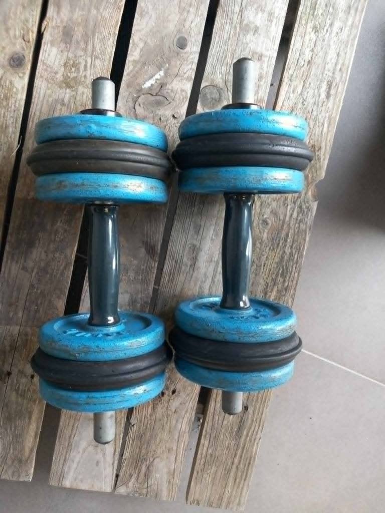 Gewichten, Sport en Fitness, Fitnessmaterialen, Ophalen, Gebruikt, Armen, Halterset