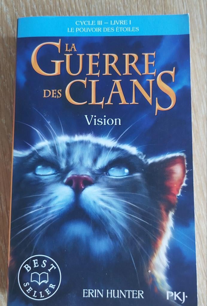 Livre de La Guerre Des Clans cycle 3 tome 1Vision, Enlèvement