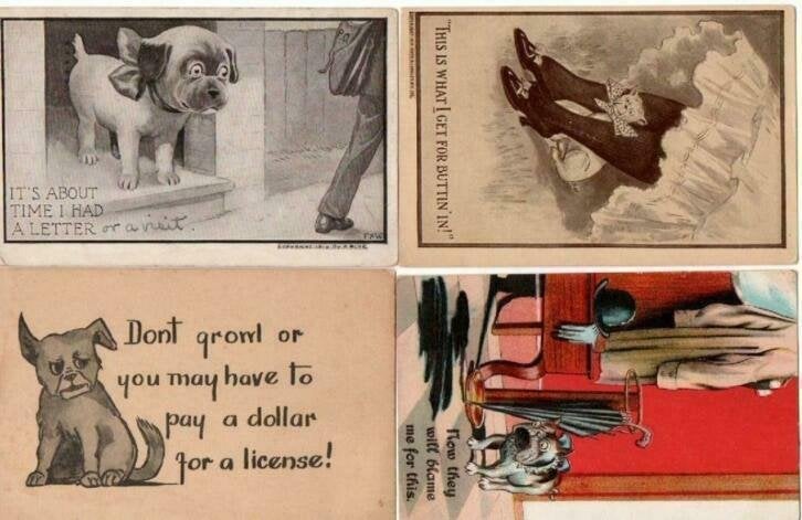 4 Oude geillustreerde ansichtkaarten honden, U.S.A, Verzamelen, Postkaarten | Dieren, Ophalen of Verzenden, Gelopen, Hond of Kat