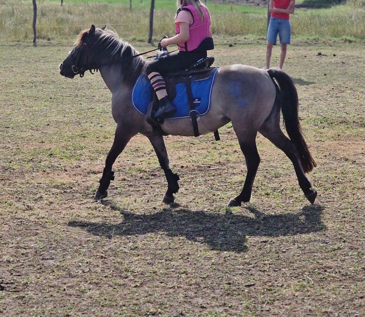 Pony 1m20 te koop, Dieren en Toebehoren, Paarden, Merrie, Minder dan 160 cm, Gechipt, Zadelmak